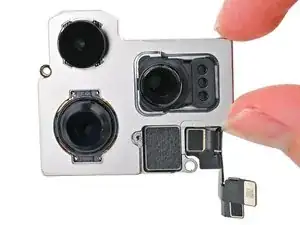 Rear Cameras